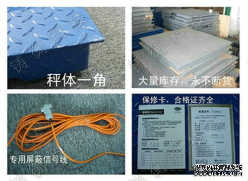 丝瓜视频看黄片